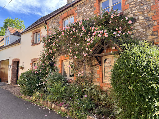 Mary Chamberlain Elemis Beauty Therapy & Wellbeing