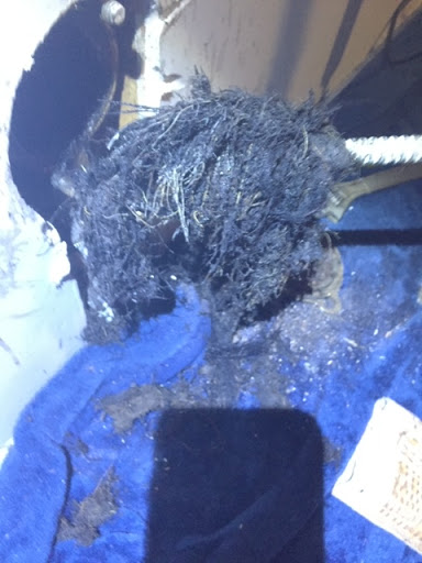 CB Drain Cleaning - Visual