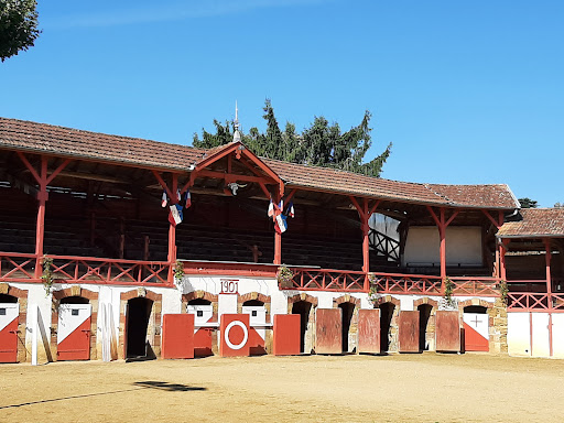 Arènes Jean Bartherotte d'Estang