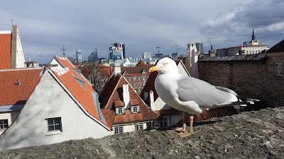 Photos of Kuberneri (Governor's) Garden
