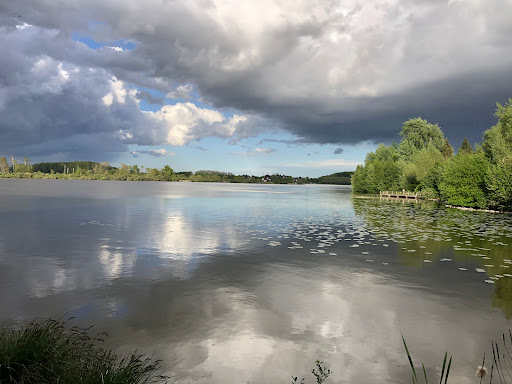 Marais d'Aubigny
