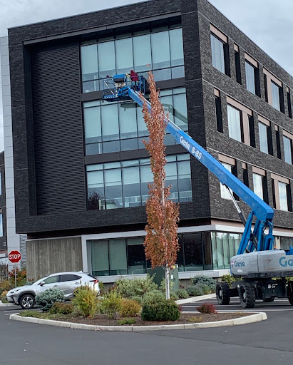 Render Window Cleaning - Visual