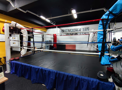 Spear Boxing Academy - Thumbnail