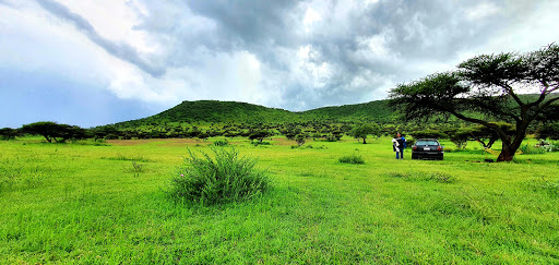 Cerro de la Ahumada / Área Protegida - Thumbnail