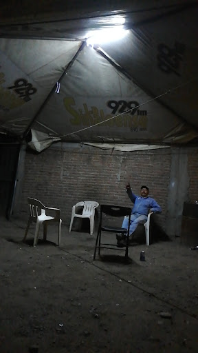 Carpa de pistecho