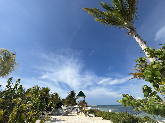 SLS Playa Mujeres by null