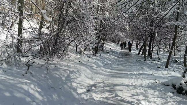 Park Prirode Žumberak - Liječnik