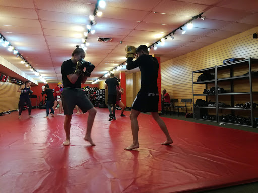 American Muay Thai & American Boxing Academy - Thumbnail