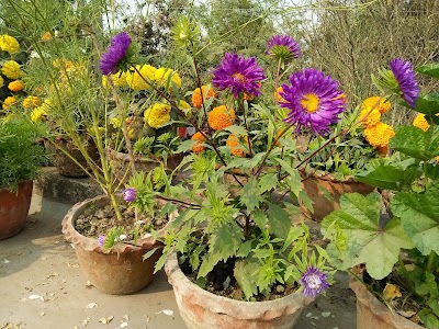 Photos of Rajshahi Central Zoo Gate-1