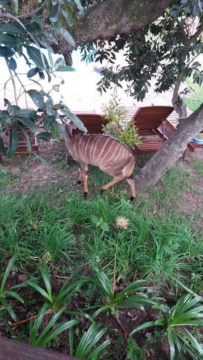 Photos of Thula Thula Game Reserve