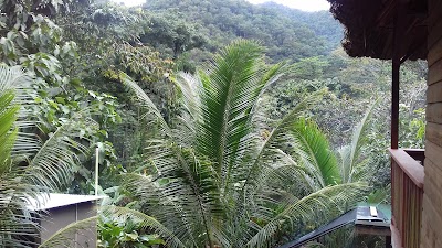 Photos of Angel Falls Extreme Adventure Tours