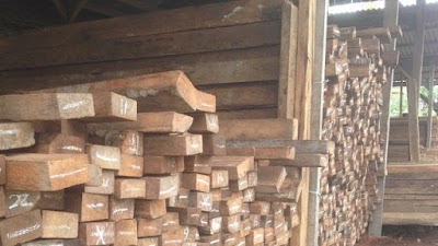 Photos of UD. Mansur Jaya Spesialis Kayu Kelapa