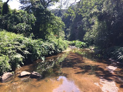 Photos of Palmiet Nature Reserve