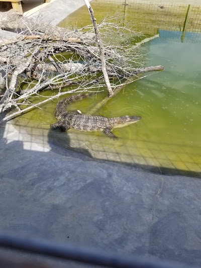 Gator Bayou Adventure Park