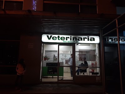 veterinary-care