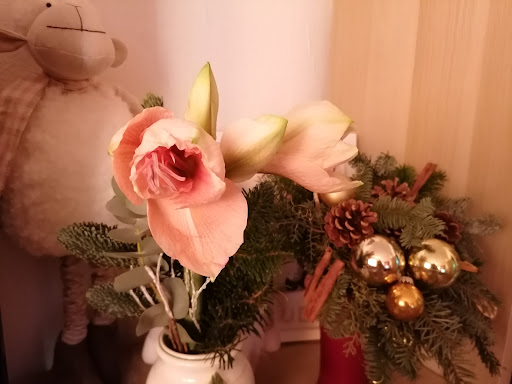 Sandra's Blumenwerkstatt - Thumbnail