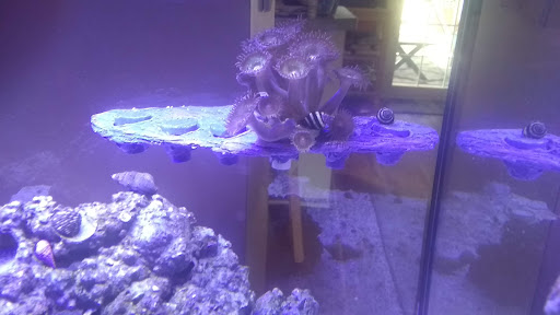 Oceans Wonders LLC