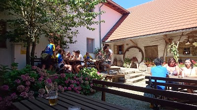 Photos of Erlebnismuseum und Mostheuriger Nadlingerhof