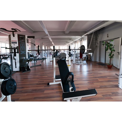 Medifit Hauenstein - Praxis für Rehasport und Physikalische Therapie - Thumbnail