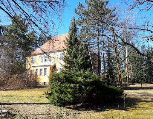 Orthopedic Center Martin-Ulbrich-Haus Rothenburg gGmbH - Thumbnail