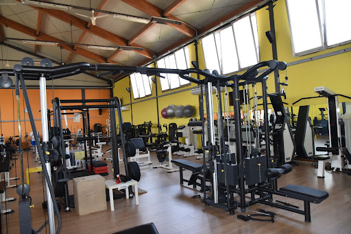 Palestra Kinesis - Thumbnail