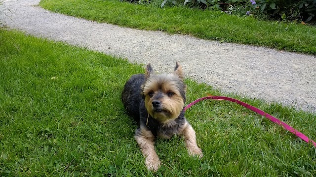Parc des promenades