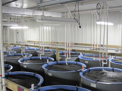 DSU Aquaculture Research and Demonstration Facility