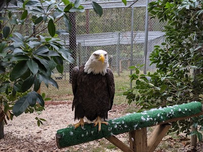 Carolina Raptor Center