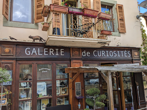 Galerie de Curiosités - Vanessa RENOUX - Thumbnail