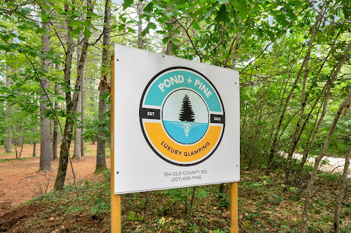 Pond+Pine - Visual