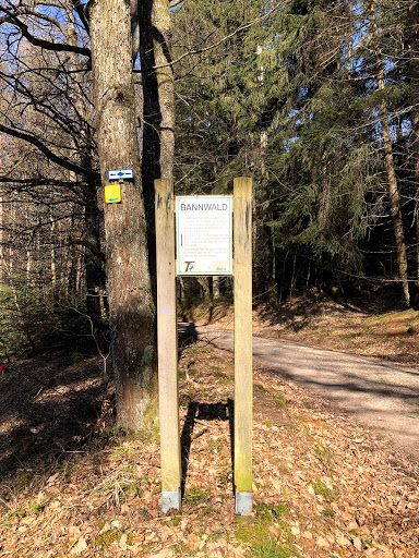Wanderparkplatz Bannwald Gallery - Germany