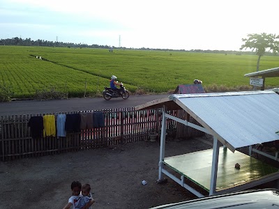 Photos of Warung Palekko "Bebek Tengah Sawah"