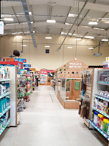 Pets at Home Broadstairs - Thumbnail
