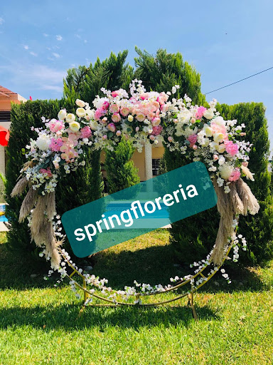 Spring Floreria Venustiano Carranza - Thumbnail