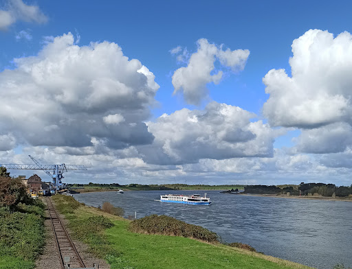 Rheinvorland im Orsoyer Rheinbogen - Thumbnail