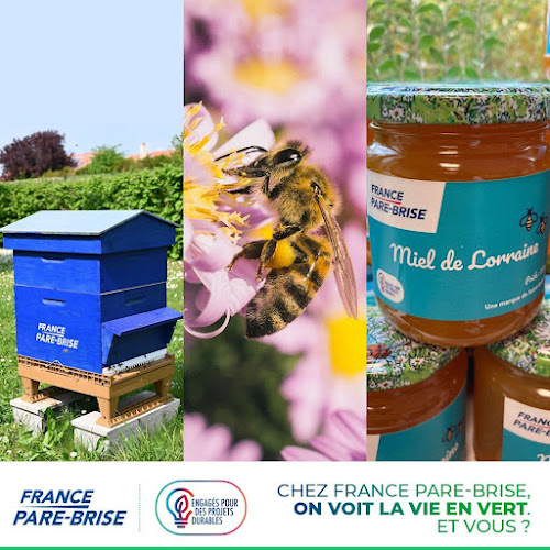 Commentaires et avis sur France Pare-Brise