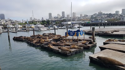 Sea Lion Center