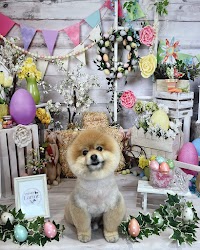 Dogsalon Larme (ドッグサロン ラルム)