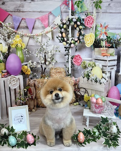 Dogsalon Larme (ドッグサロン ラルム)