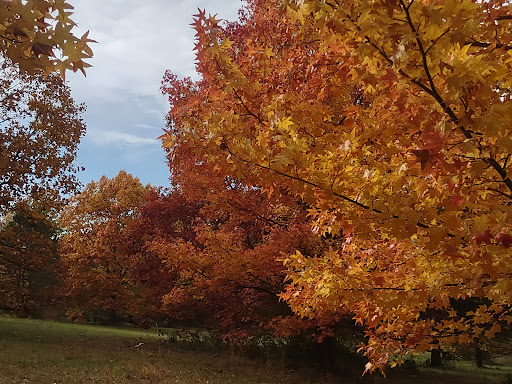 Kickapoo Creek Park - Visual