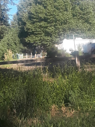 Pine Valley Trailer Park - Thumbnail