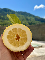 Photo n°16 de Au Pays du Citron à Menton (Magasin de vins et spiritueux)