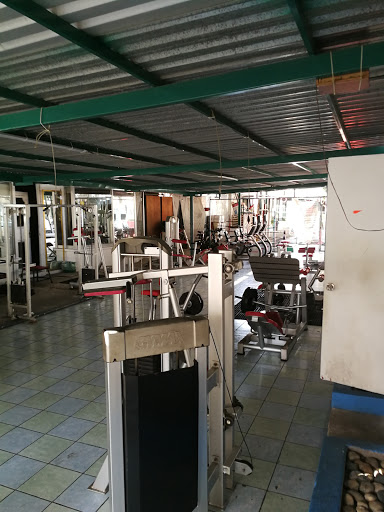 Gym Canaima / Kaly - Thumbnail