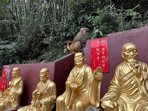 This Is Asia Tours by null