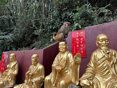 This Is Asia Tours by null