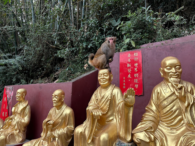 This Is Asia Tours by null