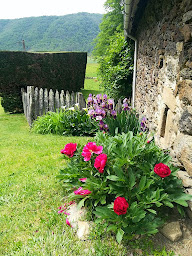 Photo n°37 de Chambres d'hôtes de charme Le Pradel à Monceaux-sur-Dordogne (Piscine extérieure)