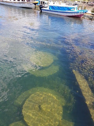 Photos of Pachichaj Park