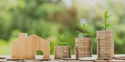 Shukla Investments Ltd