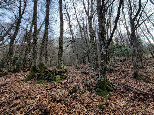 Portella Colla - Visual
